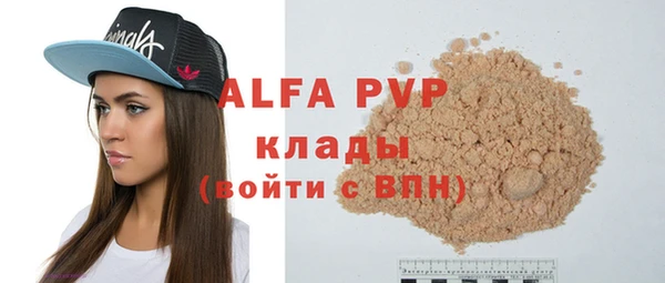 прущие грибы Баксан