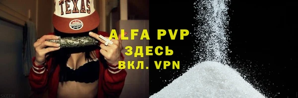 гидра Белокуриха