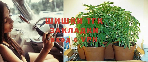 шишки Балабаново