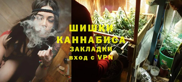 шишки Балабаново