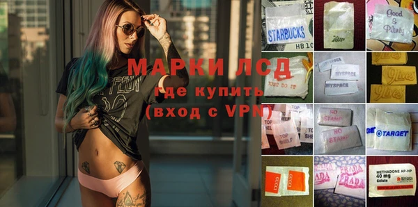 шишки Балабаново