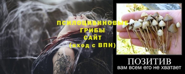 гидра Белокуриха