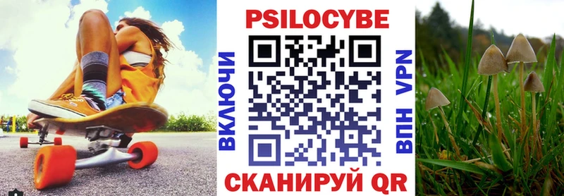 Псилоцибиновые грибы мицелий  цена   Фрязино 