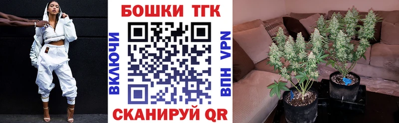 Шишки марихуана OG Kush  где купить наркоту  Фрязино 